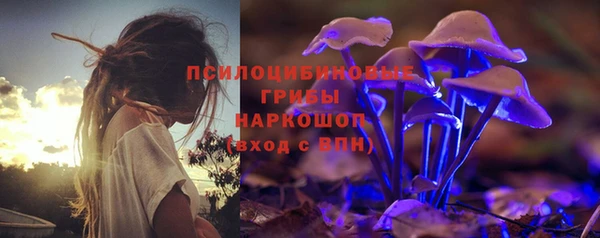 2c-b Богородск