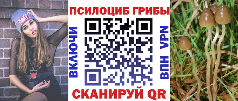shop телеграм  наркошоп  Орёл  Галлюциногенные грибы прущие грибы 